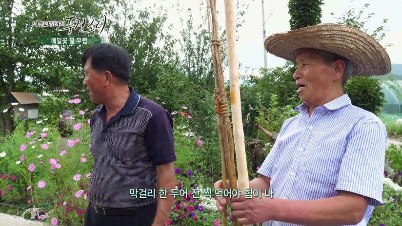 KTV 사운드멘터리 - 메밀꽃 필 무렵 2019년 9/27